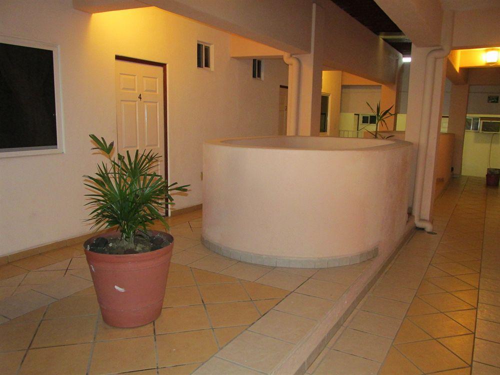מנסניו Hotel Albatros מראה חיצוני תמונה
